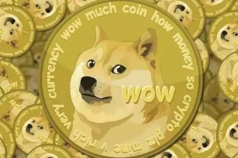 狗狗币的玩法_从游戏到投资：狗狗币如何吸引年轻用户_狗狗币如何玩