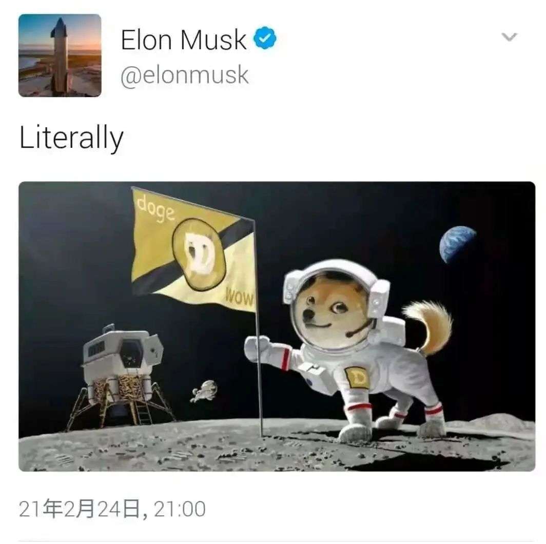狗狗币如何玩_从游戏到投资：狗狗币如何吸引年轻用户_狗狗币的玩法
