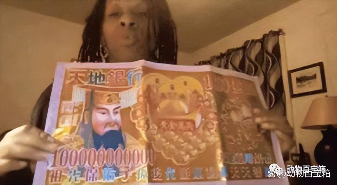 加密货币的逻辑_加密货币策略_分析加密货币市场的投资者行为：如何理解不同参与者的决策机制