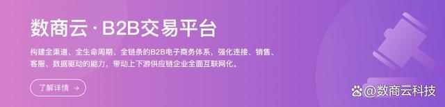数商云B2B商城源码：多币种交易支持如何助力企业拓展国际市场