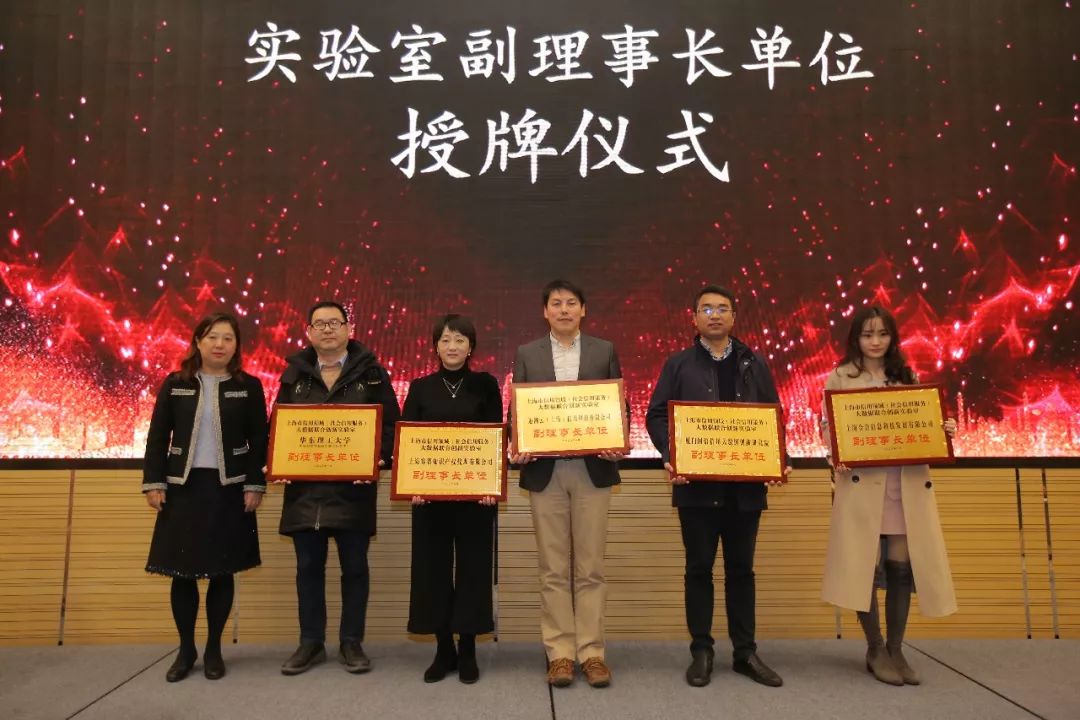 分析数字货币在信用评级中的应用：如何增强贷款与金融服务的透明度_信贷评级和信用等级_信用货币数字货币