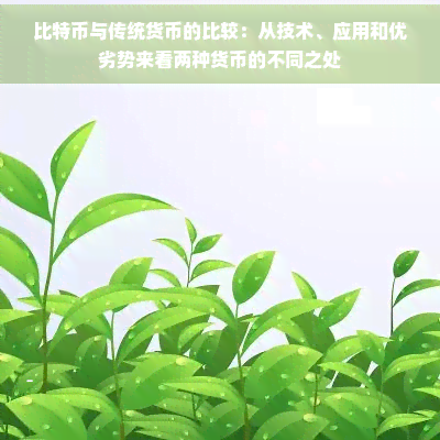 比特币与传统货币对比：技术基础、应用场景及优劣势分析